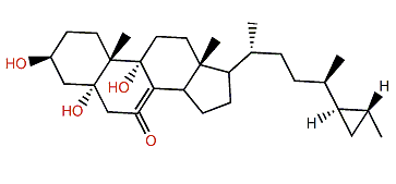 Topsentisterol C1
